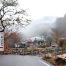 황토와 통나무 캠핑장