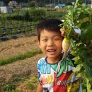 삼남매농장 이미지