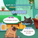 내품애동물병원 이미지