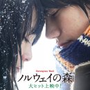 노르웨이의숲 이미지