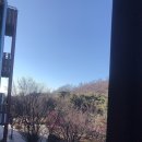앞장술 해수욕장