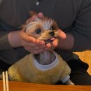 태안 머드캠프 펜션 이미지