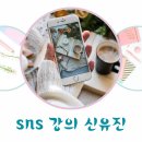 혜윰독서실 | 제주도디지털배움터 sns 강의 신유진강사 혜윰마음교육센터
