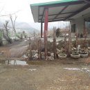 토지민박 이미지