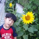 주니스어린이집 이미지