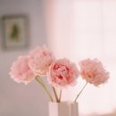 포토샵&그래픽 이미지