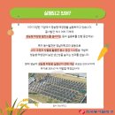 용수태양광발전소 네이버블로그