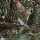 멍이네 약용 곤충농장 이미지