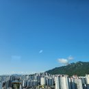 자유의지