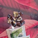 남춘천여자중학교 이미지