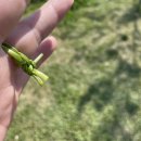 방탱이공원 이미지