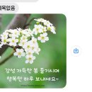 망난희