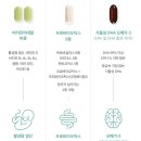 퍼스트맘닥터 이미지