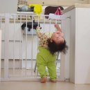 농성목장 이미지