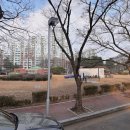 아시아선수촌공원 | [재건축 호재] 잠실 아시아선수촌, 3,400가구 ‘매머드급’ 변신 시동!