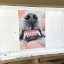 양주 온 동물병원 네이버블로그