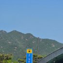 연세건무2태권도장 | [경기도 과천] 서울대공원 놀이동산 후기