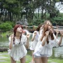 비디오랜드 이미지