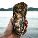 대왕푸드 이미지