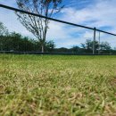 괴산파크골프장 이미지