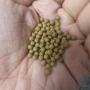 미소로한의원 | 분당 미소로 한의원 아토피 증상치료 10회 후기