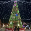 신바람이 | 구시청 노포 곱창집 추천 | 신바람 곱창 솔직 후기🔥