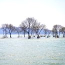 자연생태공원 수변데크 입구 이미지