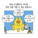 빈코리아 이미지