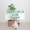 오늘도이쁘개 | [수원]수원셀프사진관:셀프스튜디오:정자동 오늘찰칵📸:9개월아기셀프촬영후기