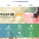화곡배수지체육공원 네이버블로그
