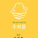 영용농장 | 제주 수보름 농장에서 직접 재배한 제주 보우짱 단호박 주문 후기