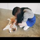 보들 반려견 미용실 | 천안 신방통정지구 반려견 놀이방 호텔 미용 포토존 추천 <꽃분이네> 애견카페 내돈내산 이용후기