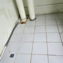 대영크리닝 이미지