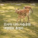정보카 | 오사카 근교 나라 사슴공원 렌트카 후기, 여행 정보 총정리