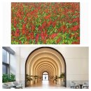 풀스테이더제주 이미지