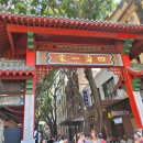 시드니약국 이미지