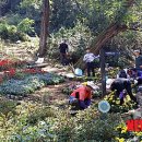 인헌동-14 이미지