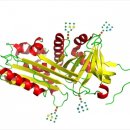 (주)조엔 이미지