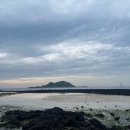 금능리장 이미지