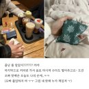 성신한방병원 | 뀱두근쬰하루