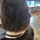 도로시헤어체인지