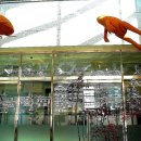 시흥시농업기술센터 이미지