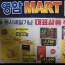 체크마트 티스토리