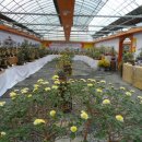 대가미공원 이미지