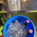 돼지전설 이미지