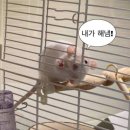 4차 서울여행 다녀왔으예(前)