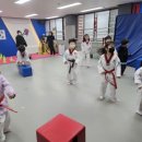 올림피아 태권도장 이미지