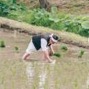 달려운 이미지