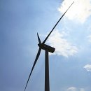 삼영목장 이미지