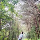 거린사슴전망대 | J의 일상 제주여행 편 Part.2